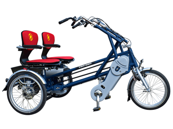 fun2go tricicletta per trasporto disabili 
